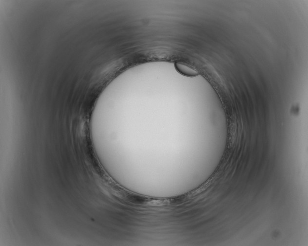X0000097460126200802220816