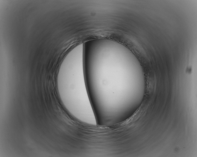 X0000097460128200802220816