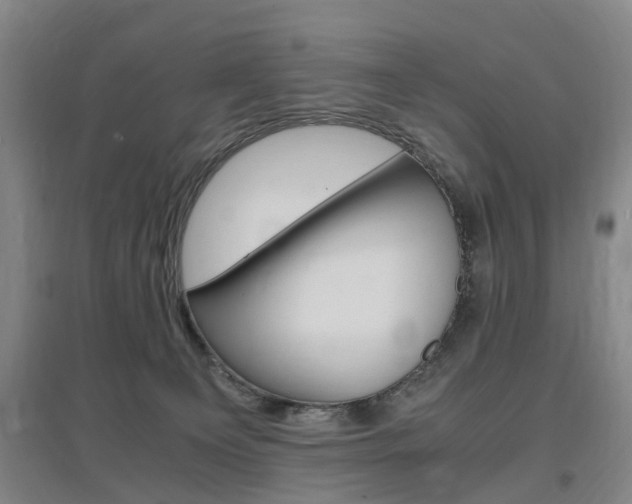 X0000097460129200802220816