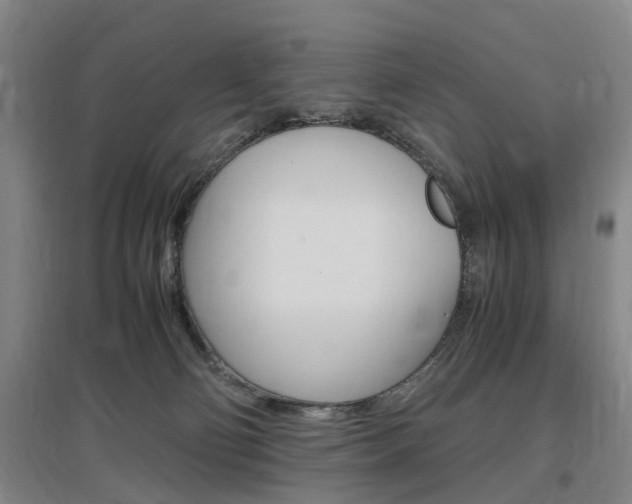 X0000097460130200802220816