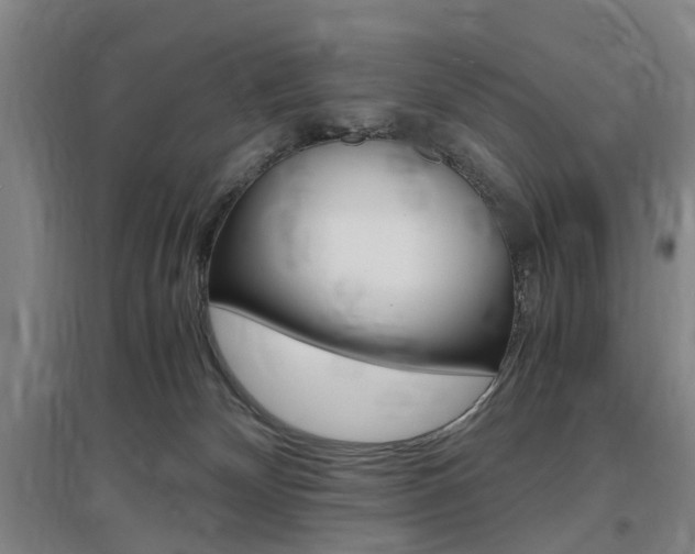 X0000097460132200802220816