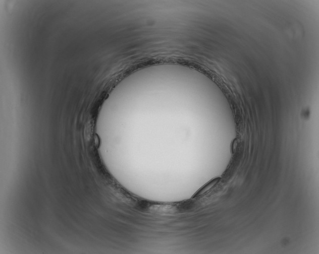 X0000097460133200802220815