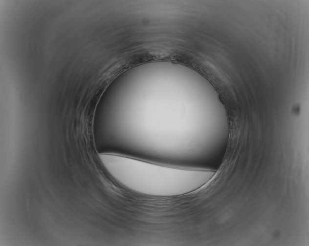 X0000097460136200802220815