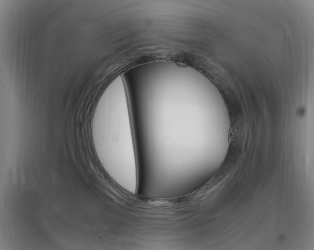 X0000097460137200802220815