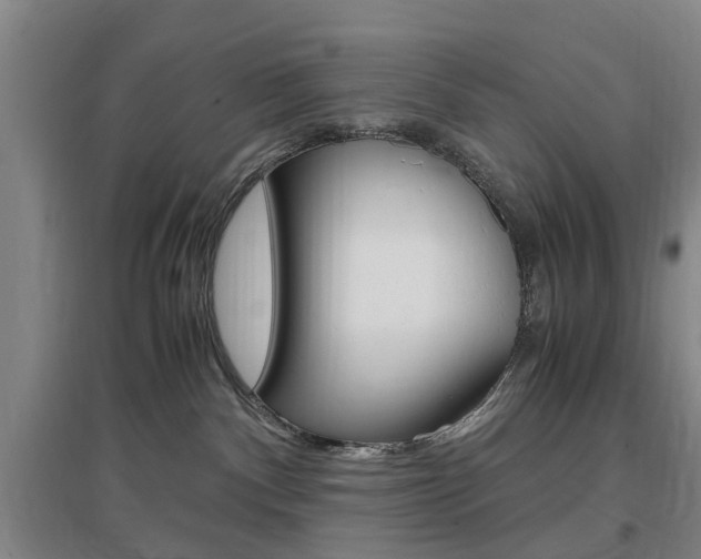 X0000097460140200802220815