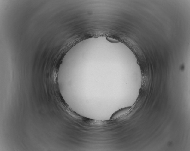 X0000097460142200802220815