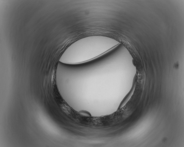 X0000097460143200802220815