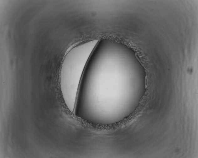 X0000097460144200802220815