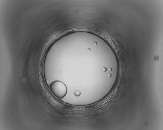 X0000097460145200802220815