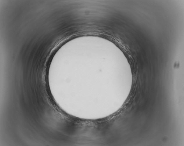 X0000097460146200802220815