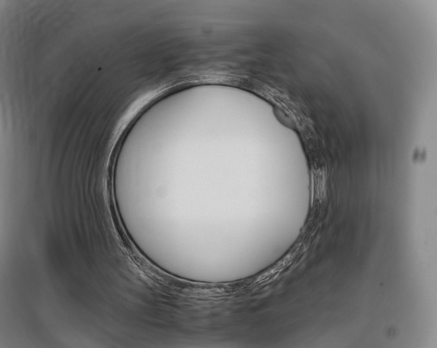 X0000097460147200802220815