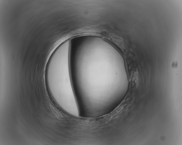 X0000097460148200802220815