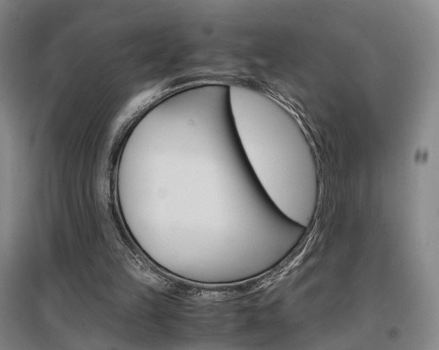 X0000097460149200802220815