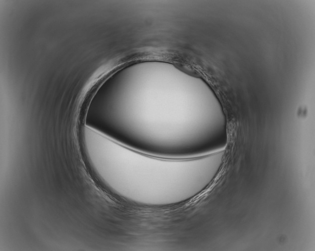 X0000097460150200802220815