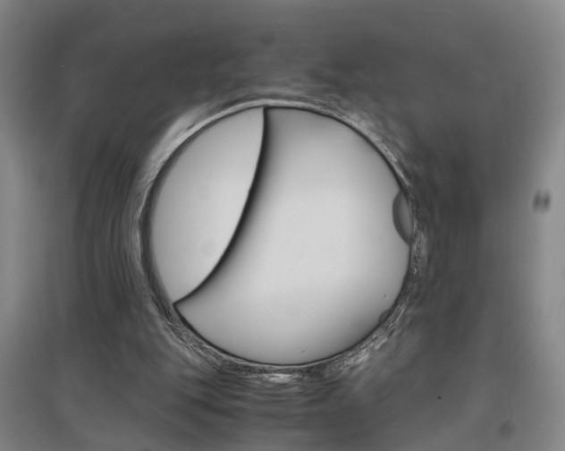 X0000097460151200802220815