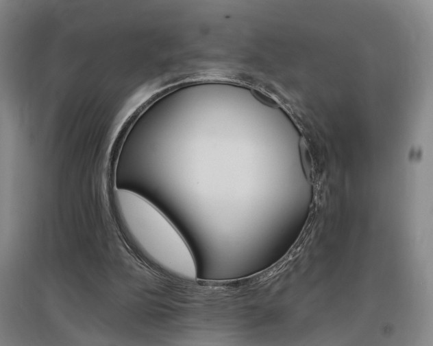 X0000097460152200802220815
