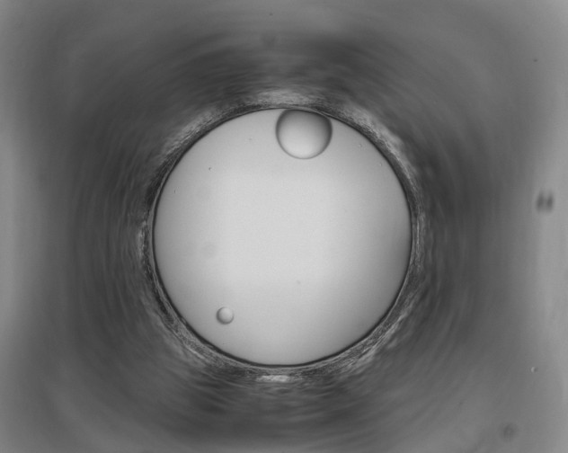 X0000097460153200802220815