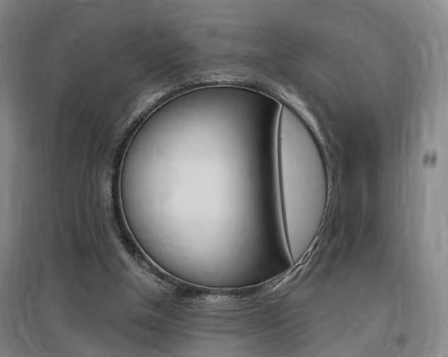 X0000097460154200802220815