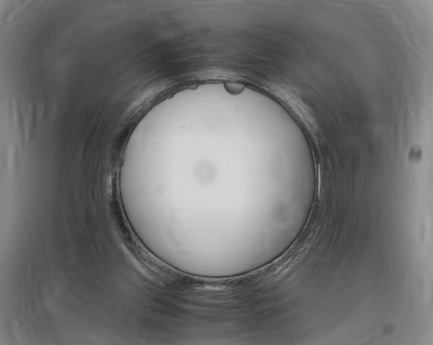 X0000097460157200802220815