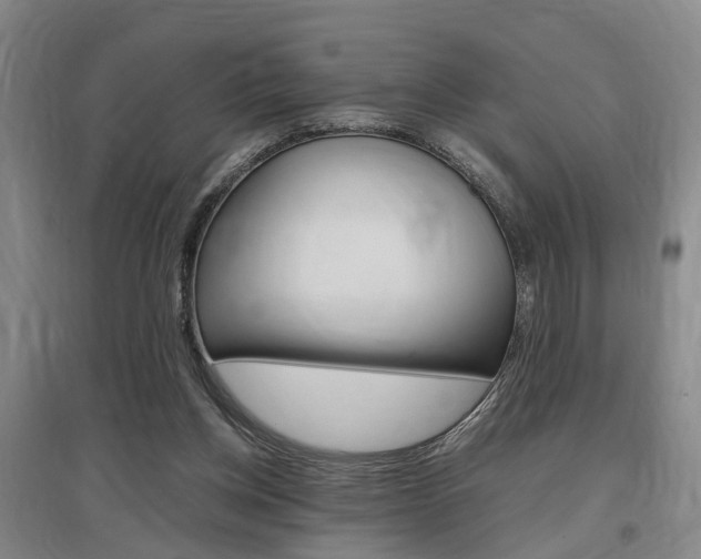 X0000097460158200802220815