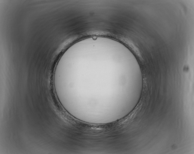 X0000097460159200802220815