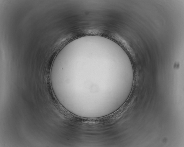 X0000097460161200802220815