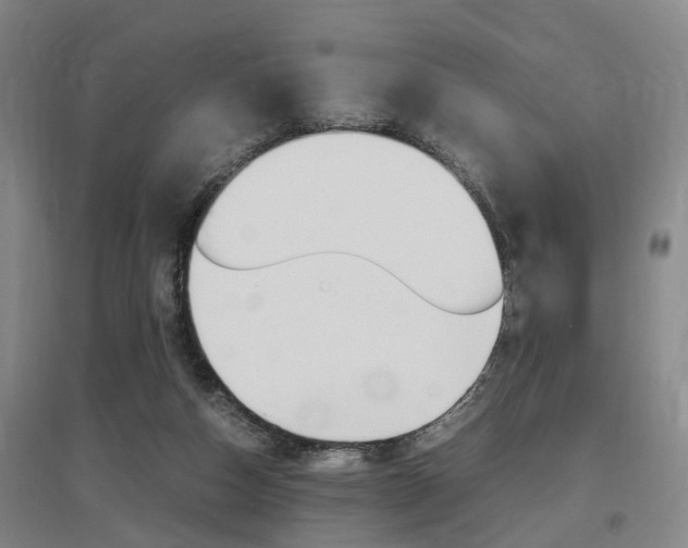 X0000097460162200802220815