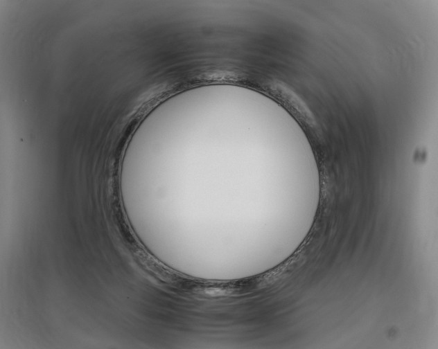 X0000097460163200802220815