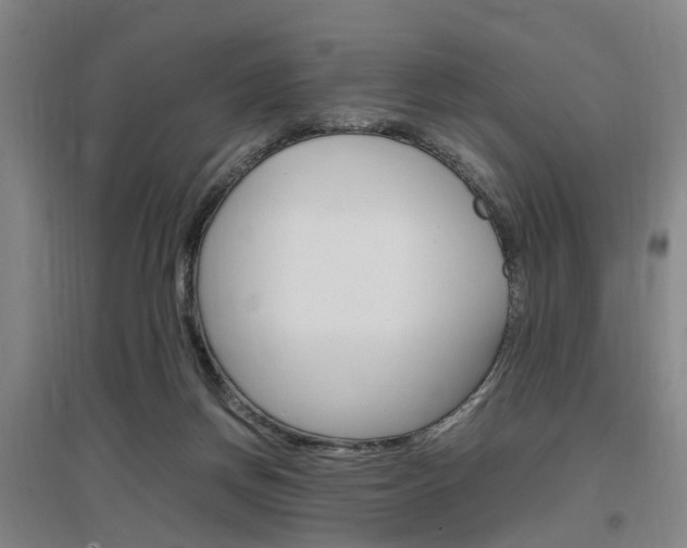 X0000097460166200802220815