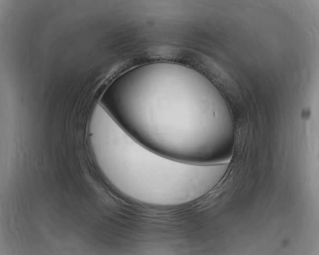 X0000097460168200802220815