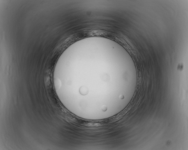 X0000097460169200802220815