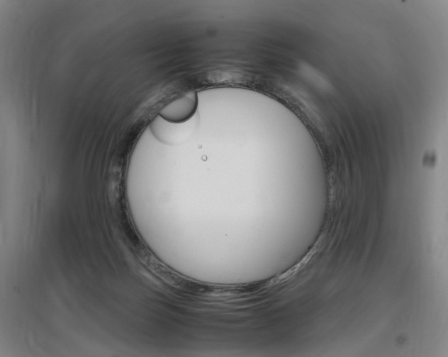 X0000097460171200802220815