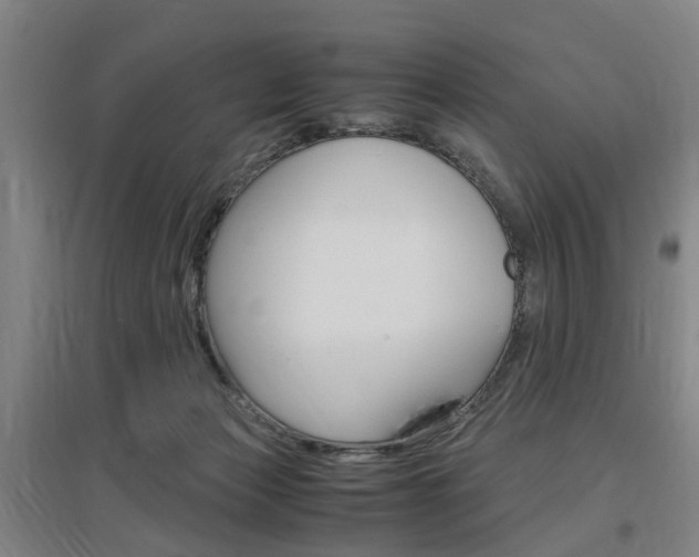 X0000097460173200802220815
