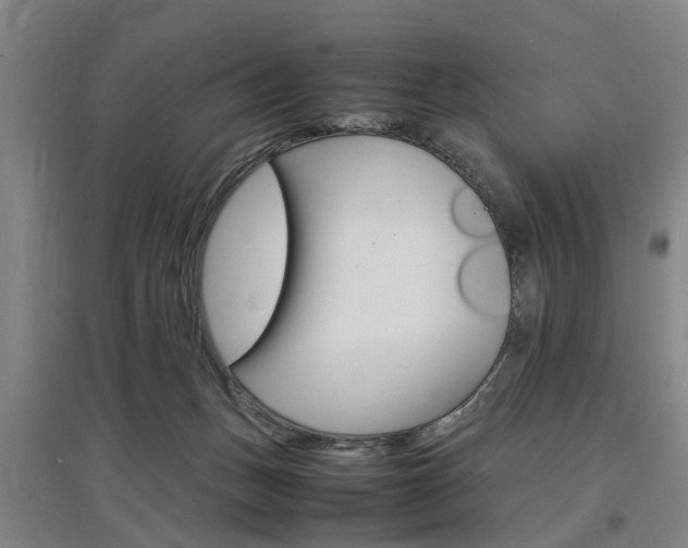 X0000097460175200802220815
