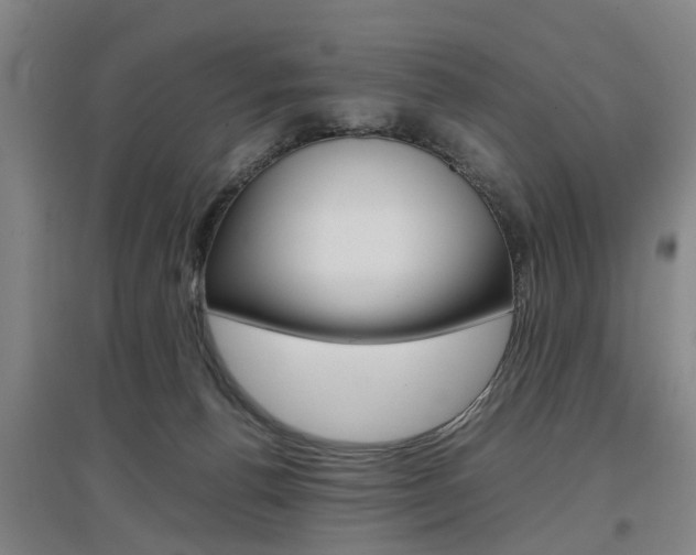 X0000097460176200802220815