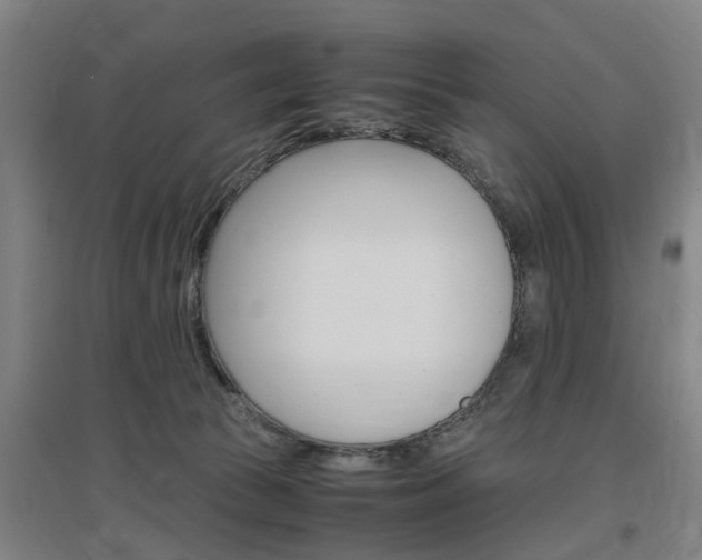 X0000097460177200802220815