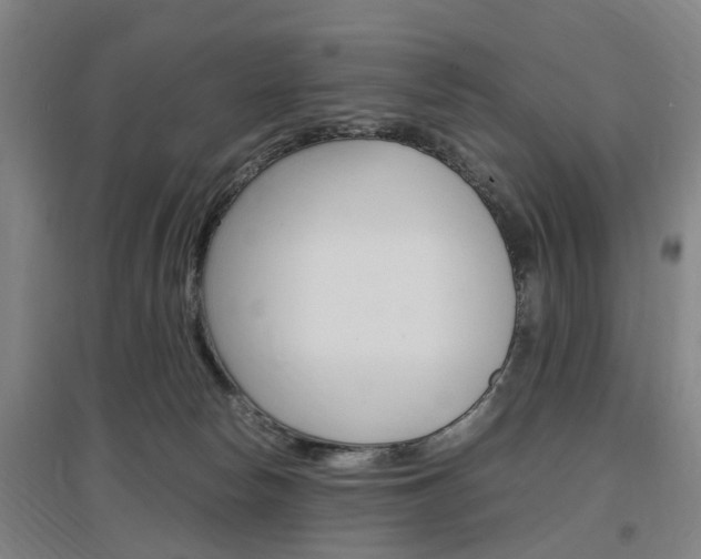 X0000097460178200802220815