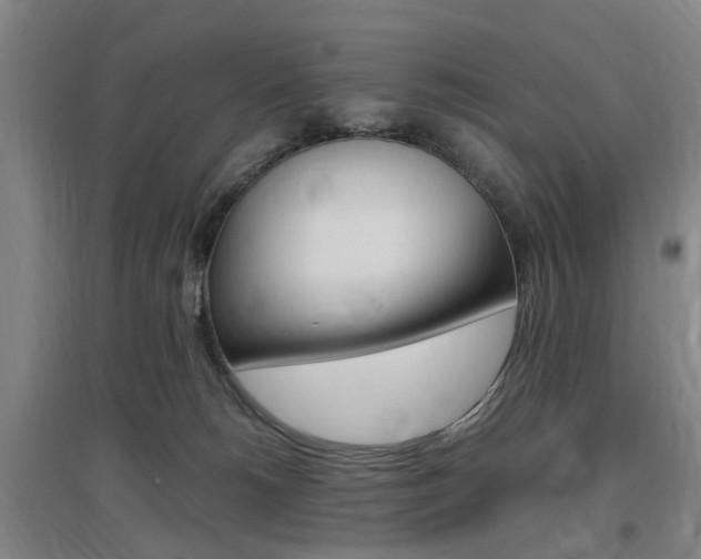 X0000097460180200802220815