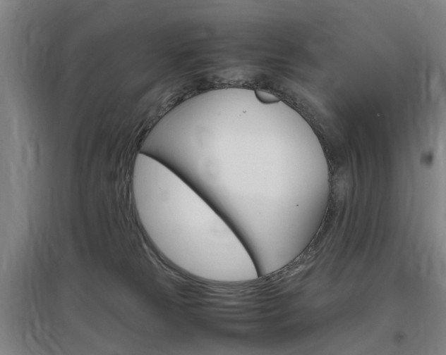 X0000097460181200802220815