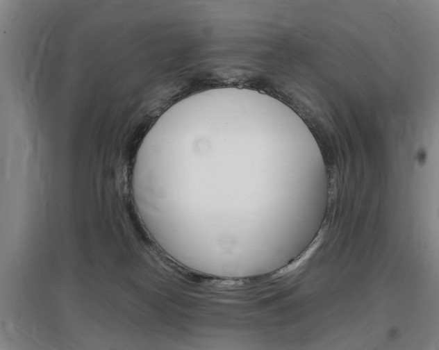 X0000097460182200802220815