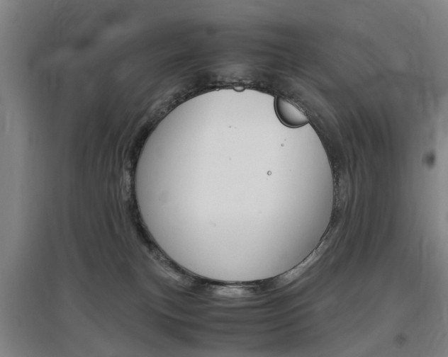 X0000097460183200802220815