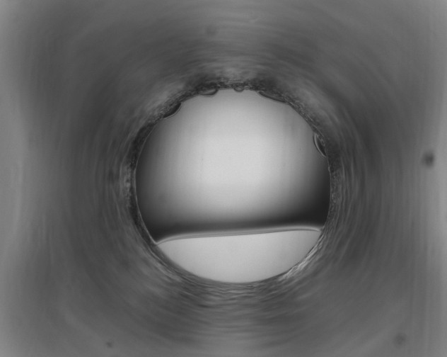 X0000097460184200802220815