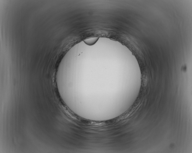 X0000097460185200802220815
