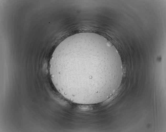 X0000097460187200802220815