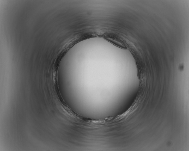 X0000097460188200802220815