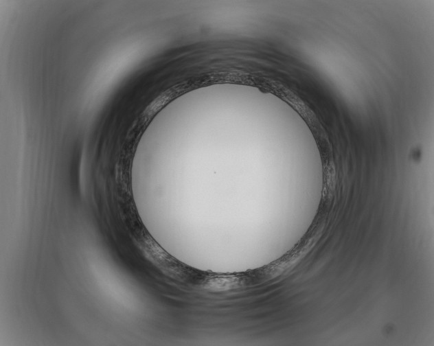 X0000097460189200802220815