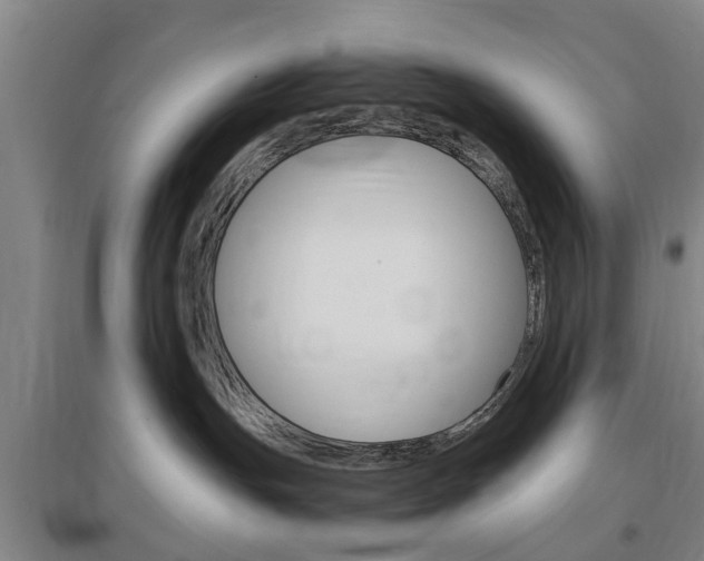 X0000097460191200802220815