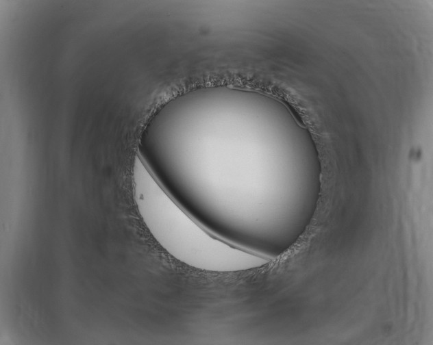 X0000097460192200802220815