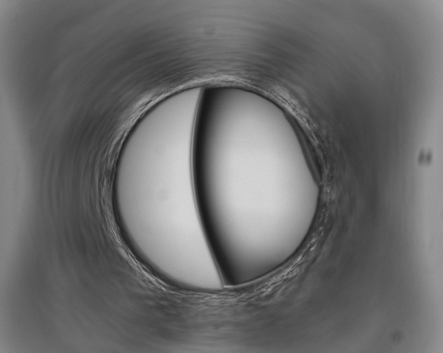 X0000097460193200802220814