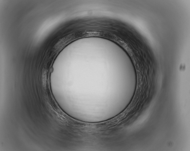 X0000097460194200802220814